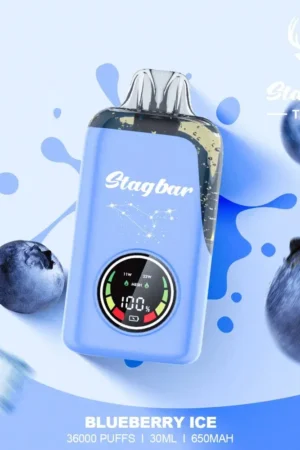 STAG BAR TURBO 36000 Puffs Double Vape BLUEBERRY-ICE-3