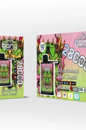 Bang 28000 Puffs Bang 28000 Puffs Adjustable Ice Disposable Vape Strawberry Kiwi Fruit (1)