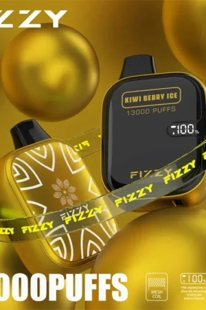 Fizzy Boom 13000 Puffs Disposable Vape Fizzy Boom 13000 Puffs Disposable Vape BLUEBERRY ICE