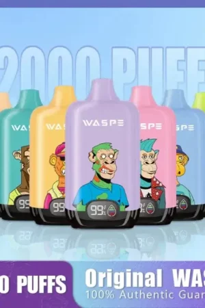 WASPE 12000 Puffs Digital Box Disposable Vape WASPE 12000 Puffs Digital Box Disposable Vape (1)