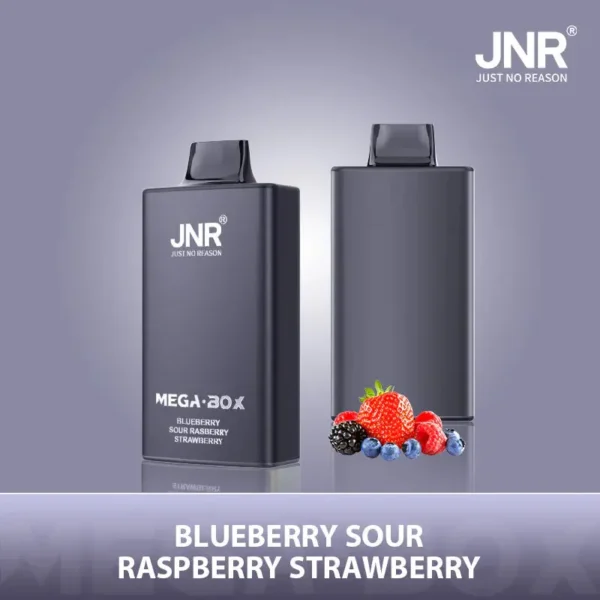 JNR Mega Box 25000 Puffs Disposable Vape 1