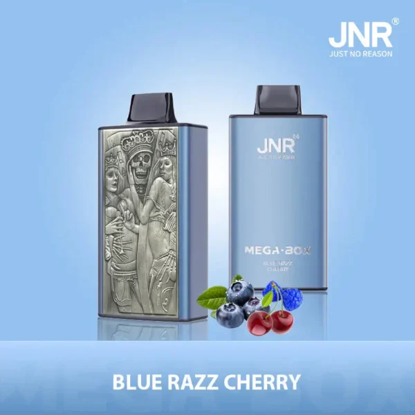 JNR Mega Box 25000 Puffs Disposable Vape 1