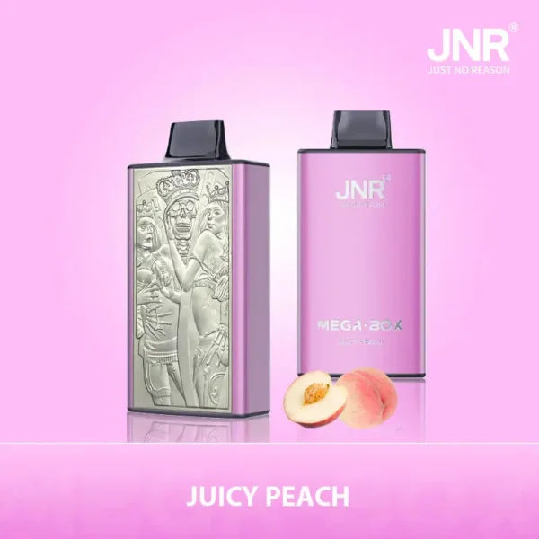 JNR Mega Box 25000 Puffs Disposable Vape 1