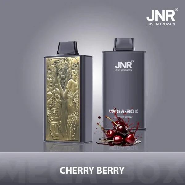 JNR Mega Box 25000 Puffs Disposable Vape 1