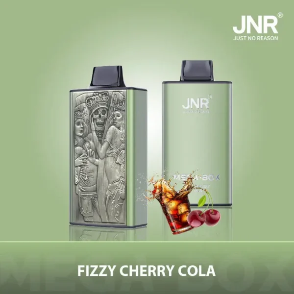JNR Mega Box 25000 Puffs Disposable Vape 1