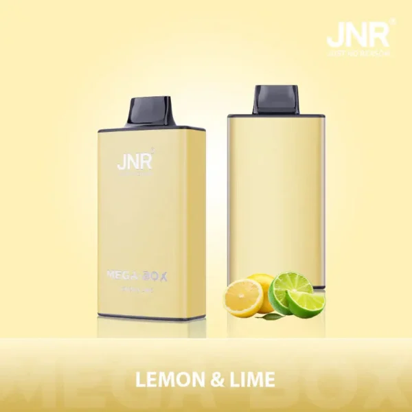 JNR Mega Box 25000 Puffs Disposable Vape 1