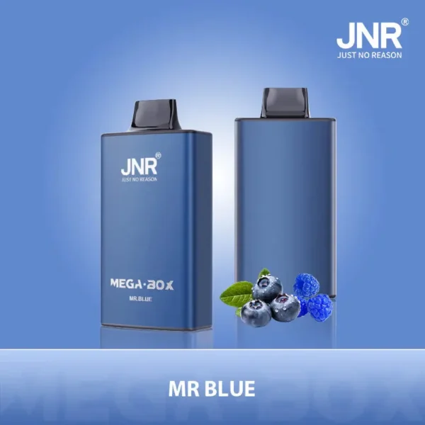 JNR Mega Box 25000 Puffs Disposable Vape 1