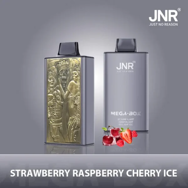 JNR Mega Box 25000 Puffs Disposable Vape 1