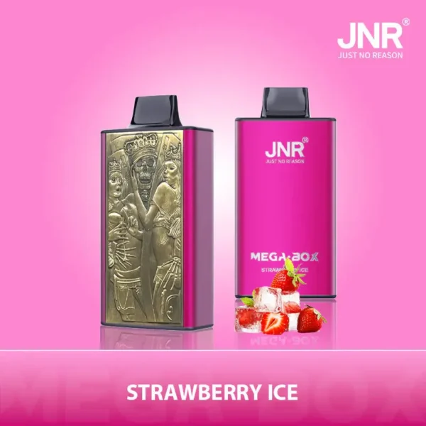 JNR Mega Box 25000 Puffs Disposable Vape 1