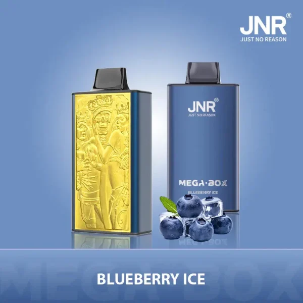 JNR Mega Box 25000 Puffs Disposable Vape 1