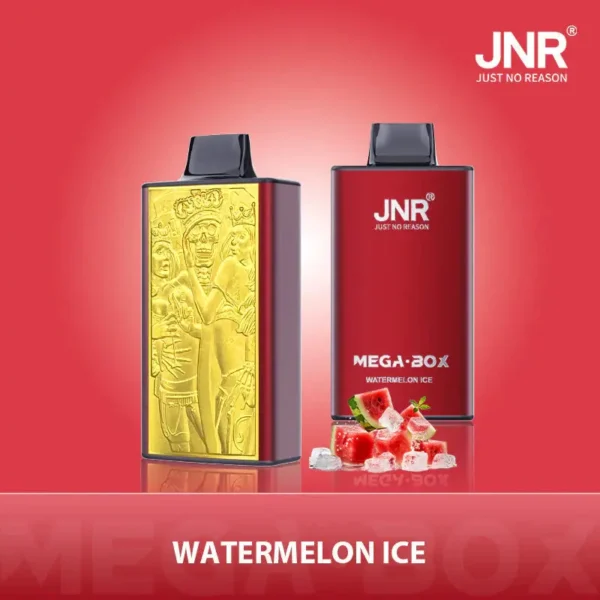 JNR Mega Box 25000 Puffs Disposable Vape 1