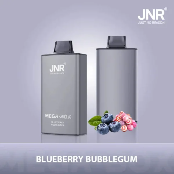 JNR Mega Box 25000 Puffs Disposable Vape 1