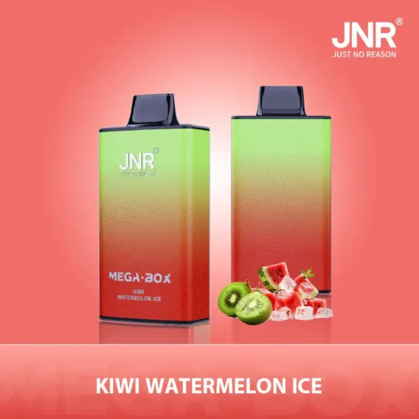 JNR Mega Box 25000 Puffs Disposable Vape1