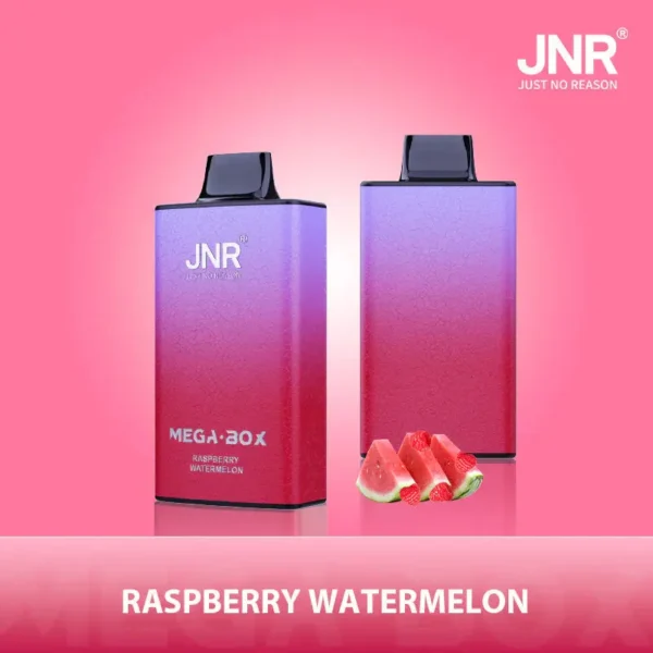 JNR Mega Box 25000 Puffs Disposable Vape 1