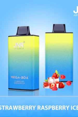 JNR Mega Box 25000 Puffs Disposable Vape1