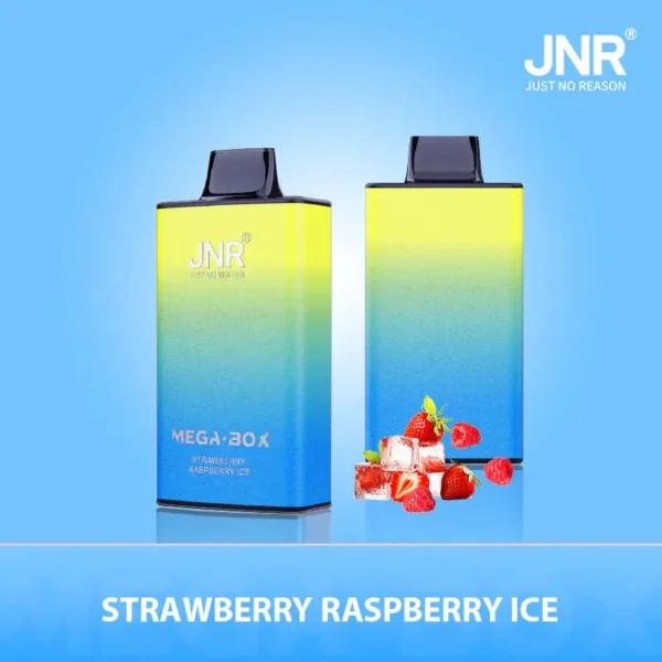 JNR Mega Box 25000 Puffs Disposable Vape1